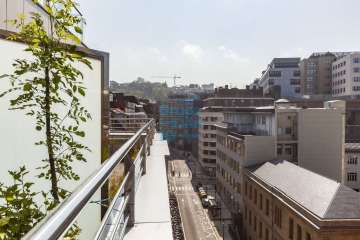 Vistas