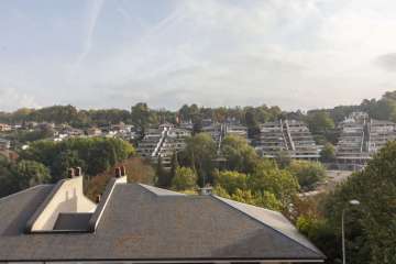 Vistas