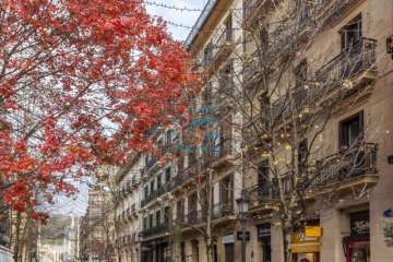 Exterior (calle)